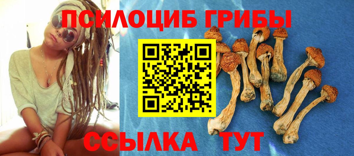 продажа наркотиков  Вход с VPN  Кувандык  Галлюциногенные грибы Psilocybine cubensis 